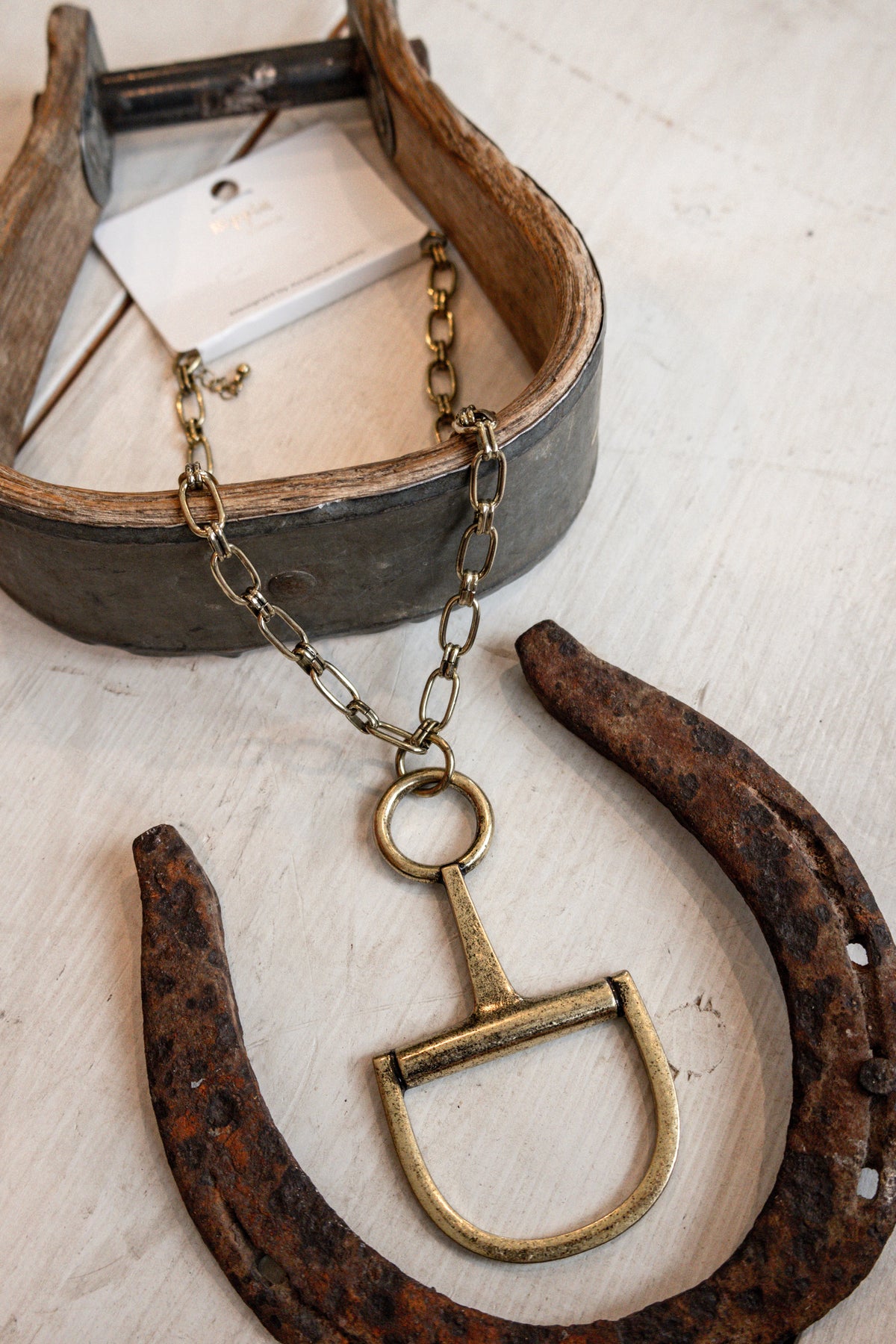 The Gold Dally Necklace