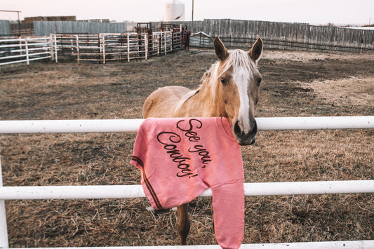 See You Cowboy Pink Sweater