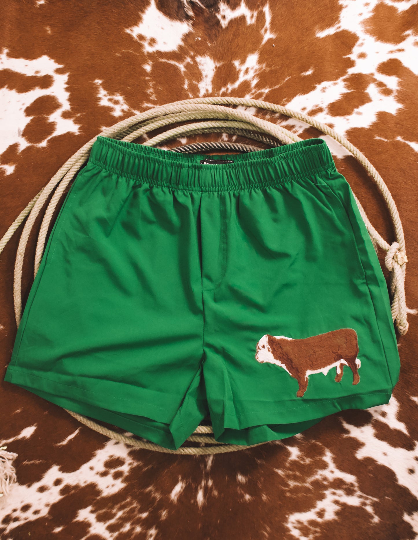 Cattle Club Shorts Hereford