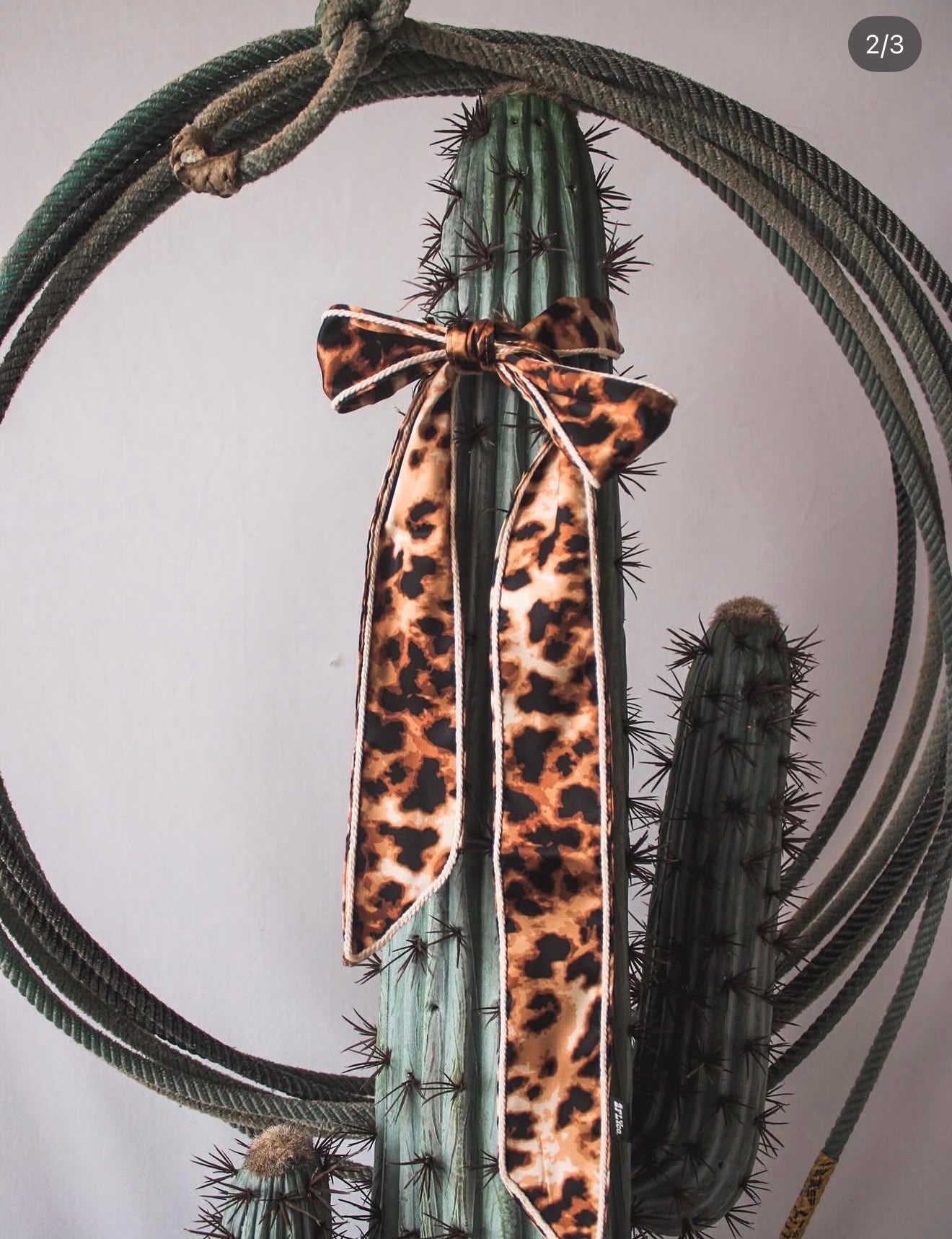 Trail Knot Twilly Meowdy
