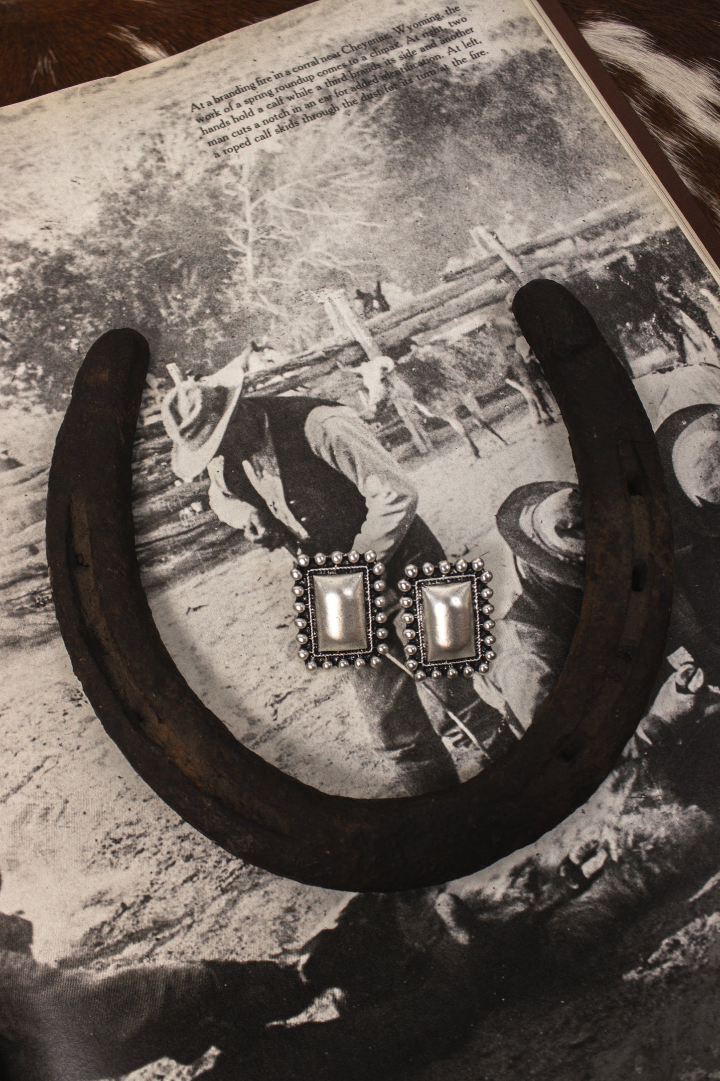 Faux Square Concho Earrings