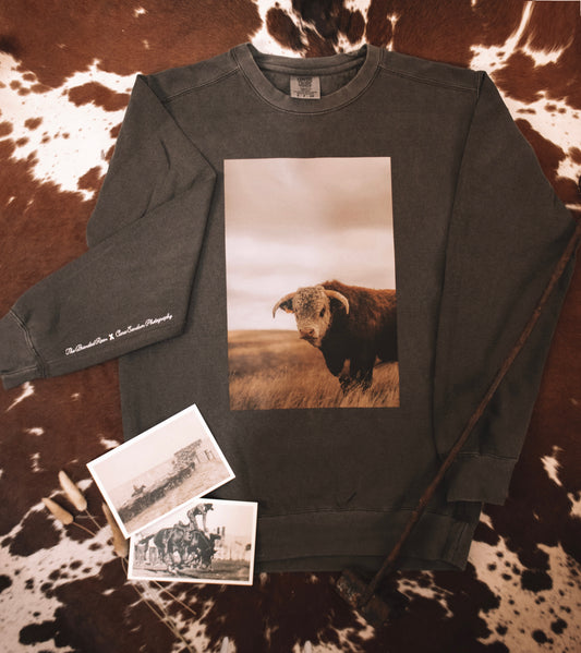 Harry the Hereford Crewneck - The Branded Roan X Ciara Sandum Photography Collab