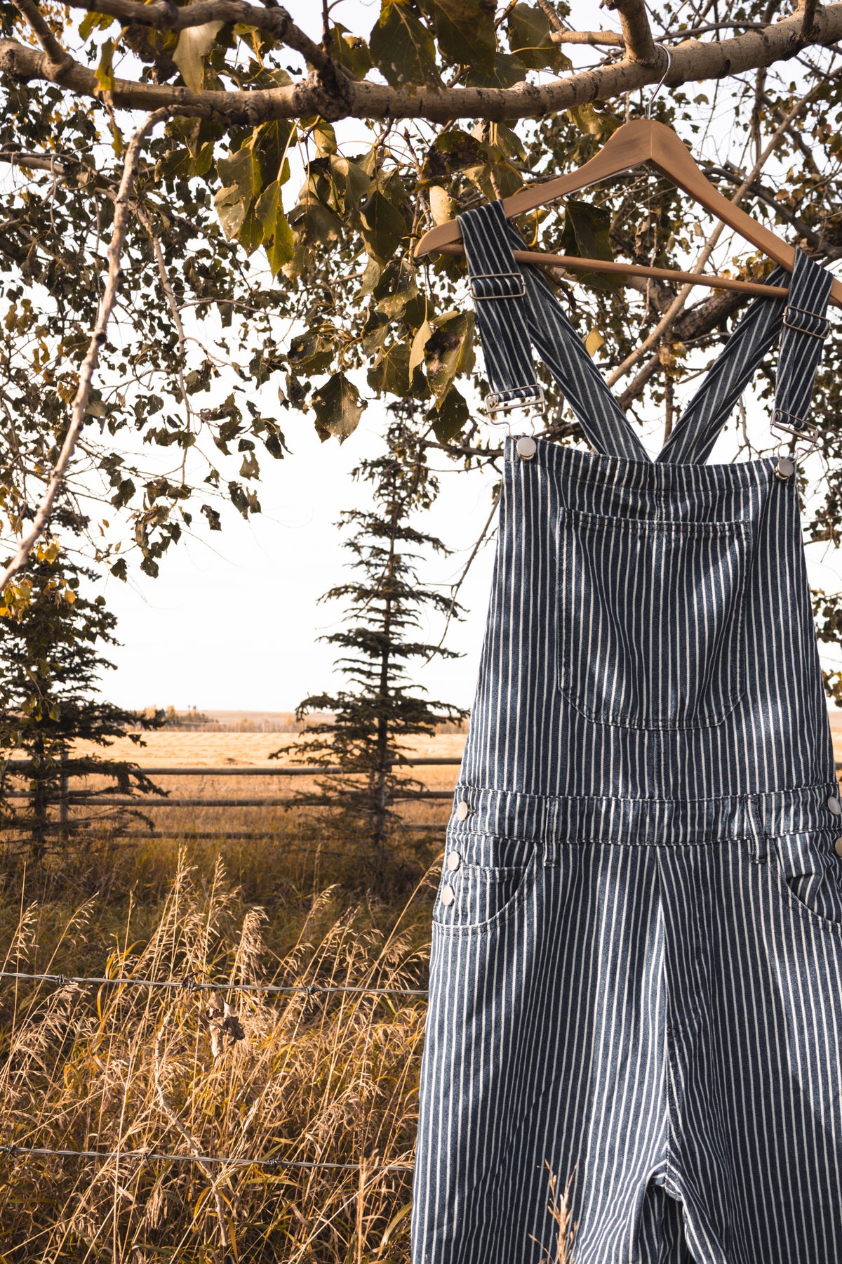 The Rambler Overalls