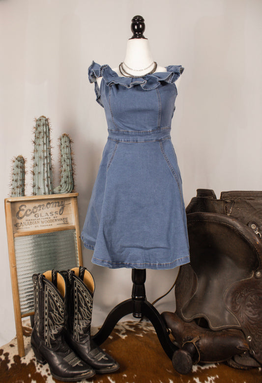 The Denim Babe Dress
