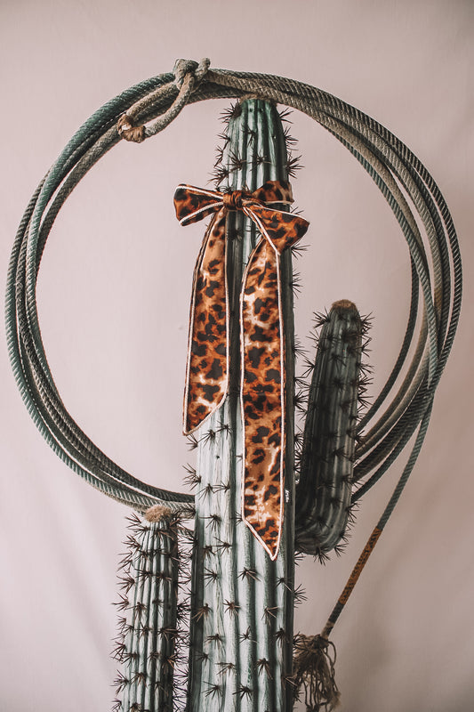 Trail Knot Twilly Meowdy