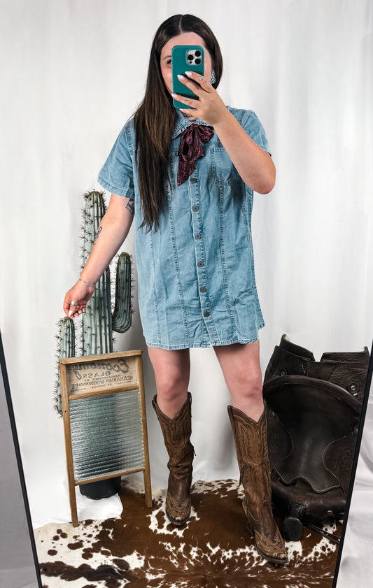 High Plains Dress