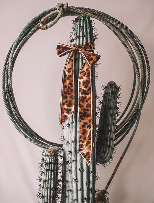 Trail Knot Twilly Meowdy