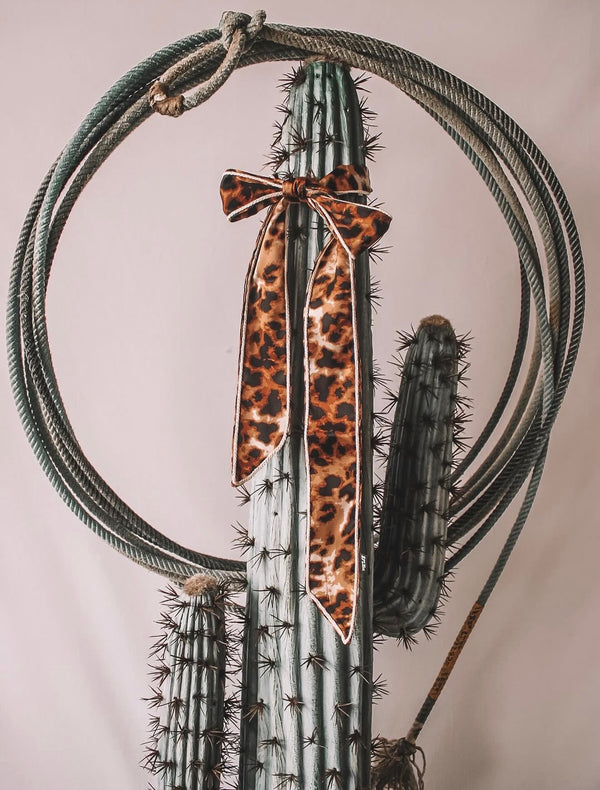 Trail Knot Twilly Meowdy