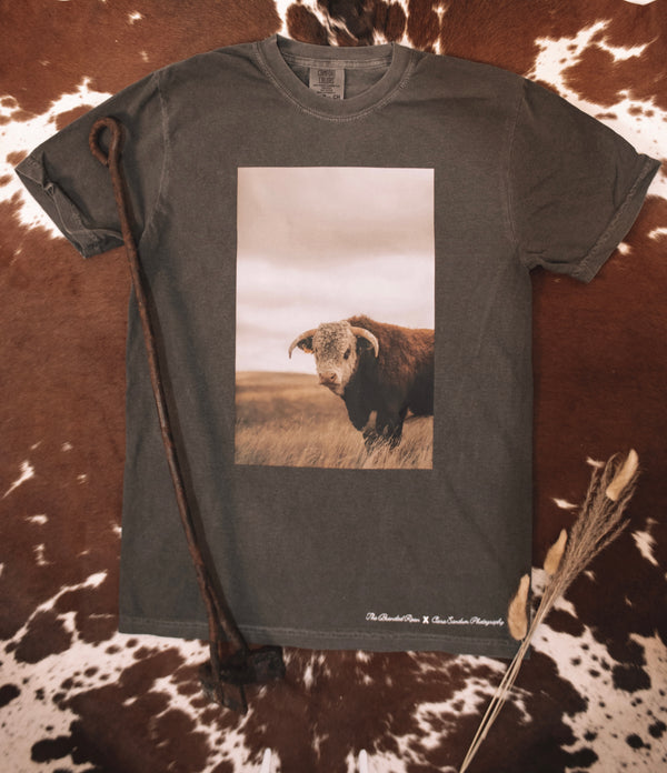 Harry the Hereford T Shirt - The Branded Roan X Ciara Sandum Photography Collab