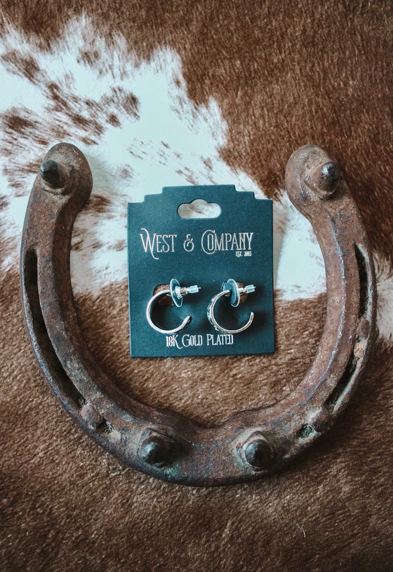 18K White Gold Plated Diamond Stamped Earrings