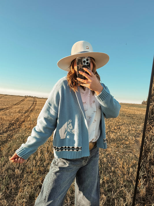 The Blue Roan Cardigan