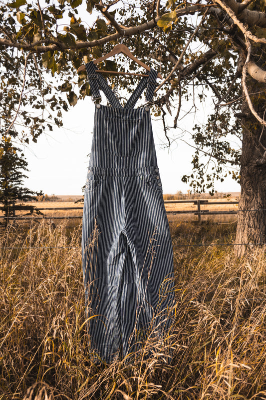 The Rambler Overalls