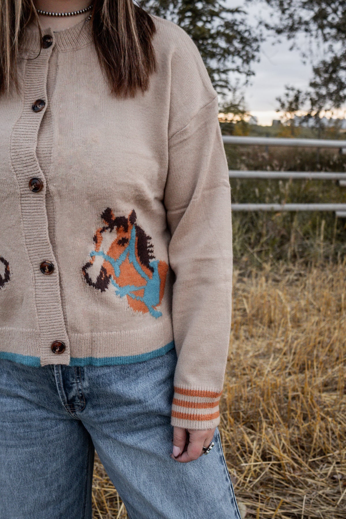 The Ranch Horse Cardigan