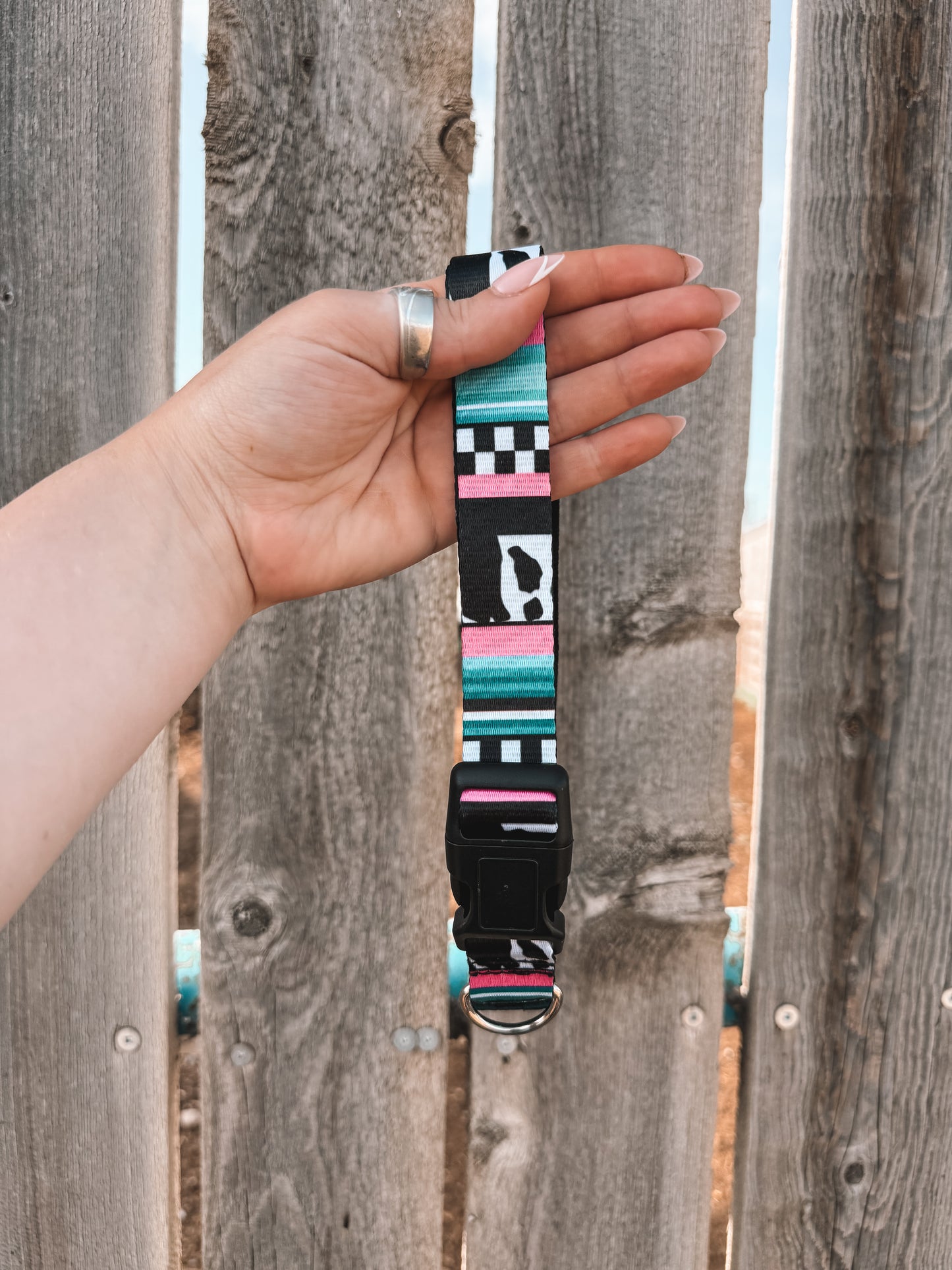 Multi Print Dog Collar